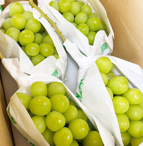 2025富王:山梨笛吹市産極上シャインマスカット2.0kg(3~4房)